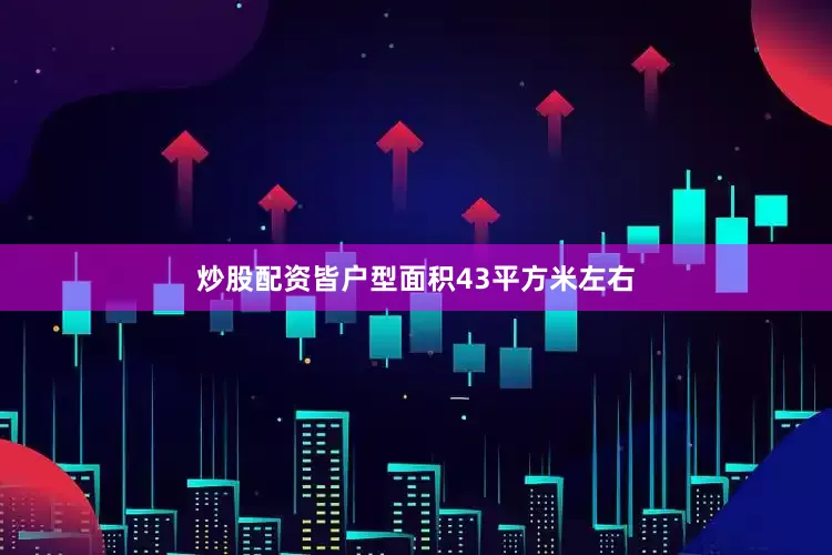 炒股配资皆户型面积43平方米左右